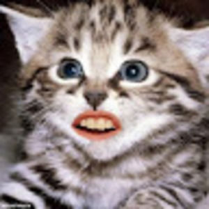 Meet your Posher, Jon